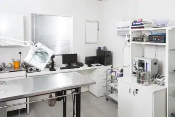 Veterinary Research511720011156705281