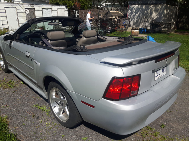 mustang dans Autos et camions  à Saguenay - Image 3
