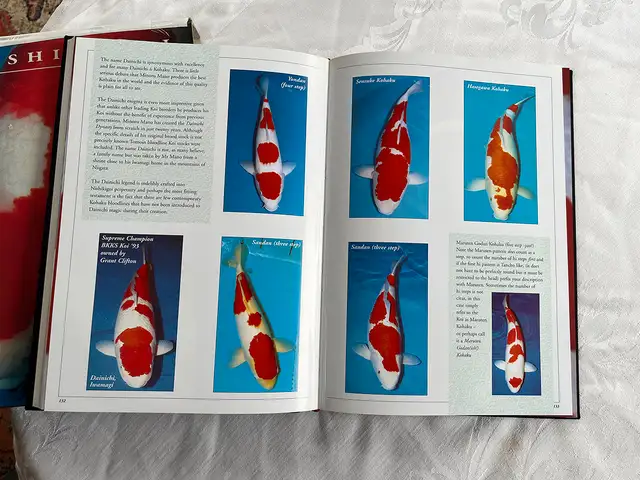 Still Waters – Deluxe Hardcover by Nigel M.W. Caddock in Other in City of Toronto - Image 7