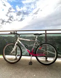 Bianchi Ibex Bicycle
