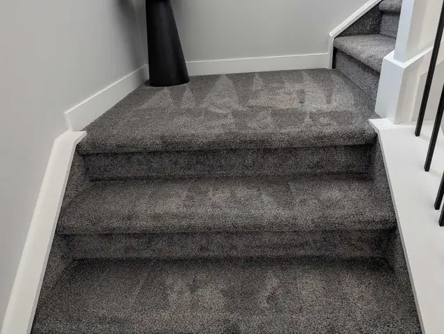 Carpet Cleaning