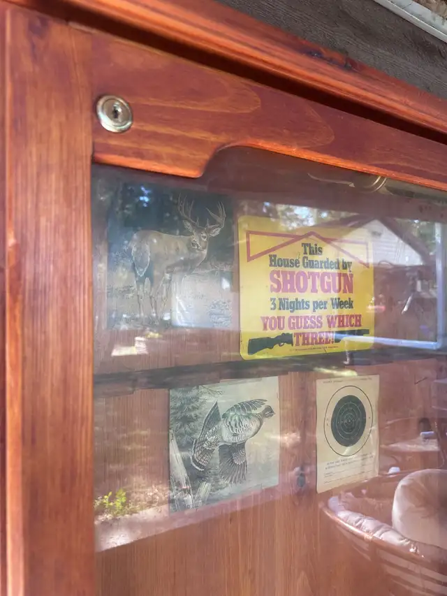 Gun cabinet  in Hutches & Display Cabinets in Peterborough - Image 4