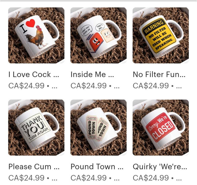 Novelty Tees, Mugs, Hoodies and more!  in Other in Hamilton