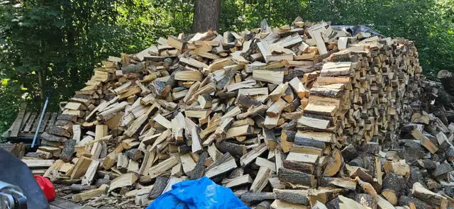 firewood for sale brechin area in Other in Barrie - Image 4