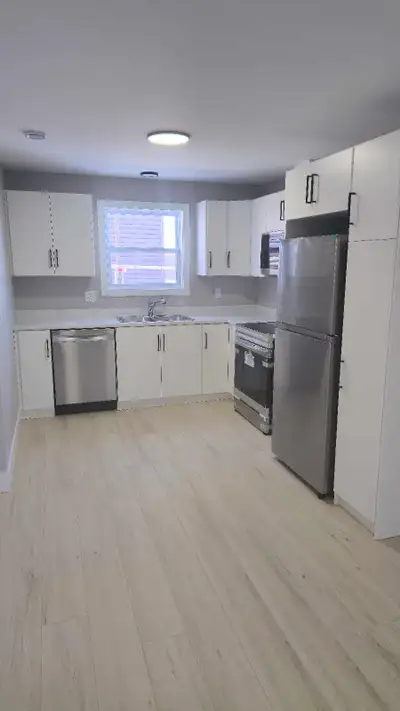 Bright & Spacious 2-Bedroom Basement Apartment for Rent - Phoenix/Kemble (Paradise). Ready for immed...