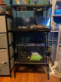 Fish tanks and stand 