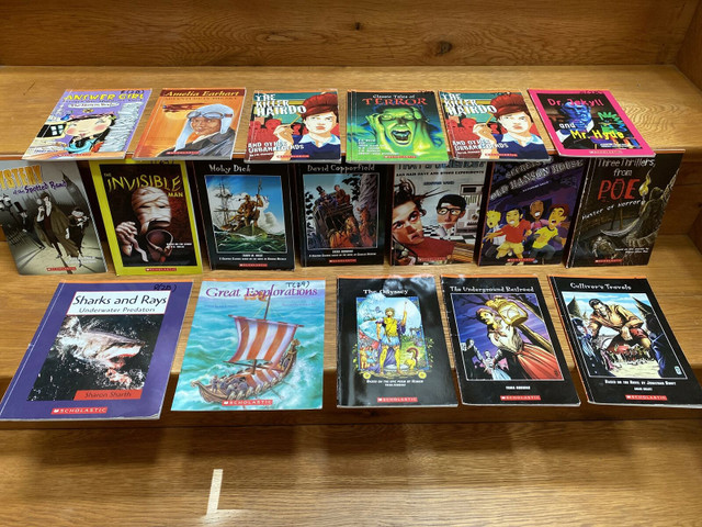 22 Everyday Book Box (Orange level) books  in Children & Young Adult in Oshawa / Durham Region