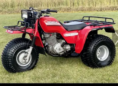 Looking for 1985-87 parts I’m looking for rear right and left mud flaps and looking for a good shape...