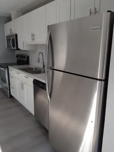 Open concept Unit Includes Stainless Steel Fridge, Stove, dishwash, Microwave . Walk in Glass shower...