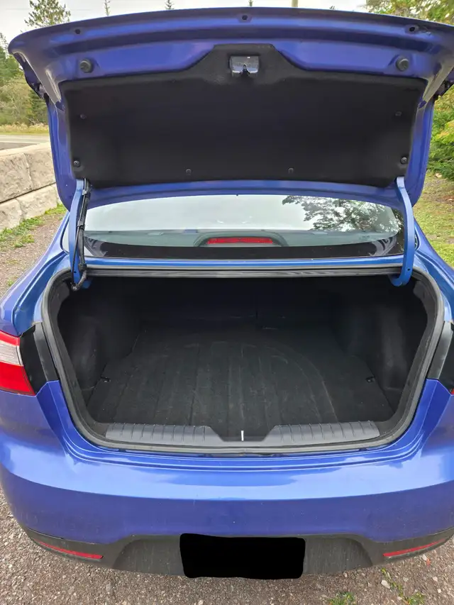 2014 Kia Rio591903162767790085