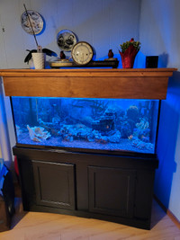 75 gal fish Aquarium 