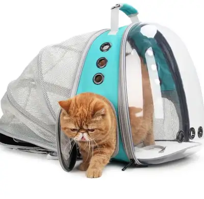 Bubble Cat Backpack , View more