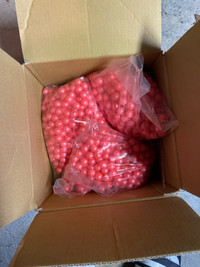 1000 Paintballs (350 each bag)