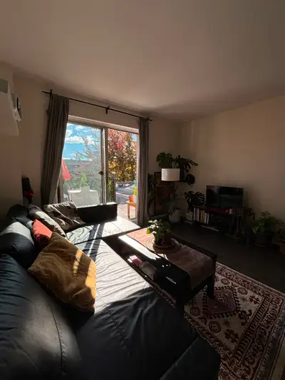 Très bel appartement sur le plateau Mont-Royal à louer (1640$), View more