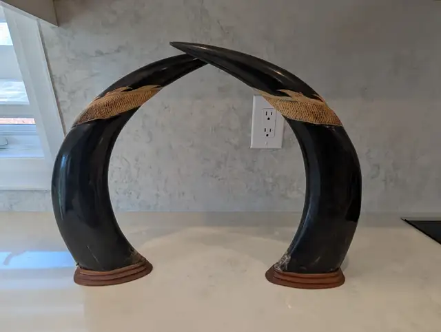 Pair of Mounted Carved Water Buffalo Horns with Dragons and Phoe in Arts & Collectibles in Markham / York Region - Image 5