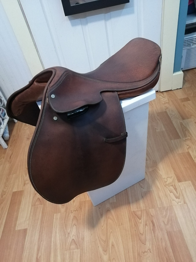17.5" Springtree Jumping Saddle in Equestrian & Livestock Accessories in Bedford - Image 3