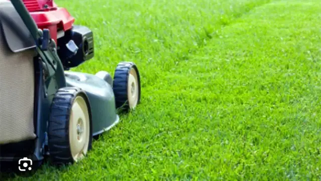 Starting $19 Grass Cutting Same Day Visit62863734795907123