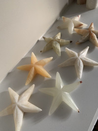 7 Onyx Starfish