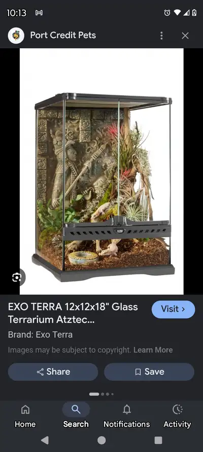 Terrarium , View more