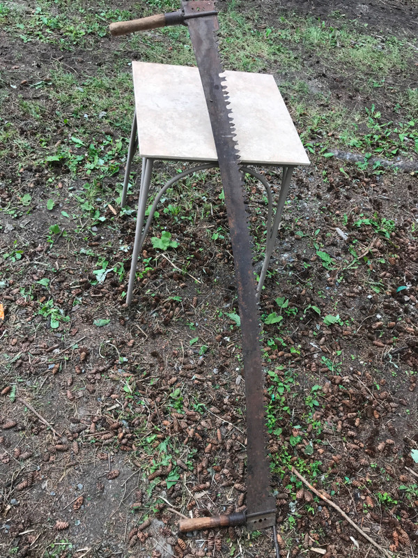 antique buck saw for sale  