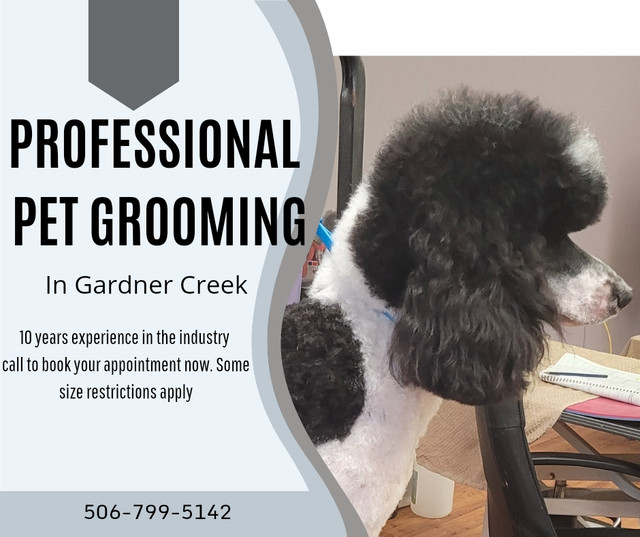 Dog grooming in Animal & Pet Services in Saint John