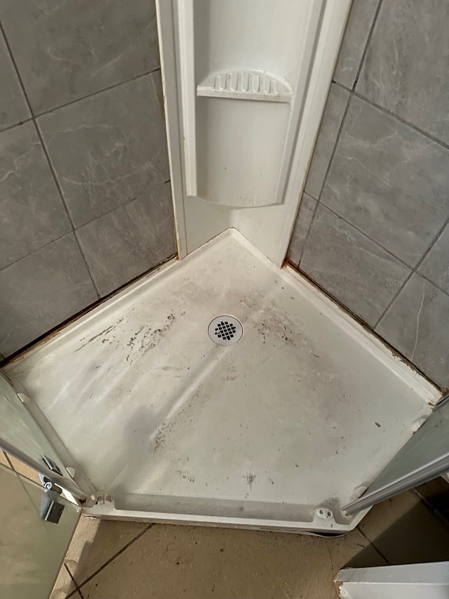 Looking for handyman for multiple repairs at rental unit Renovations