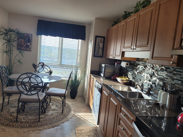 LUST FOR DUST CLEANING SERVICES  - Hamilton in Cleaners & Cleaning in Hamilton - Image 4