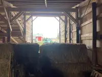 Multipurpose barn 