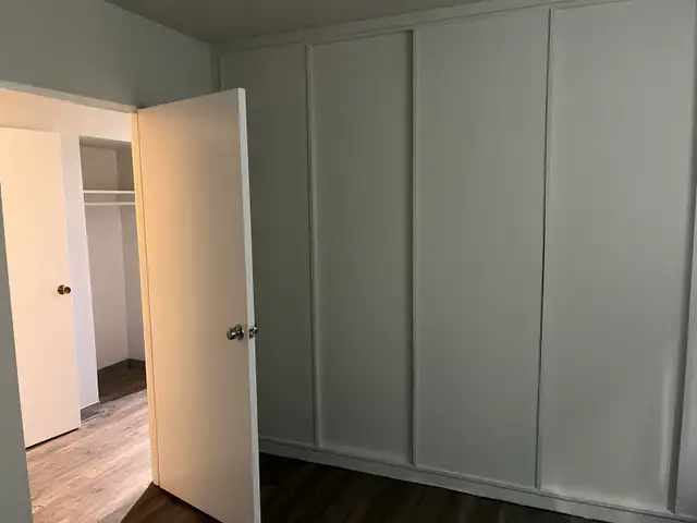 Painter looking for work489972054832588804