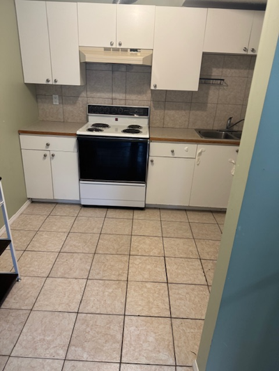Walkout : i Large Bedroom+ 1 Full bathroom -Legal suite, New Vinyl Flooring, Good Sizw Kitchen with...