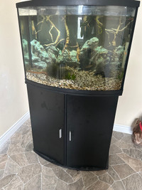 Fish tank plus fish for sale