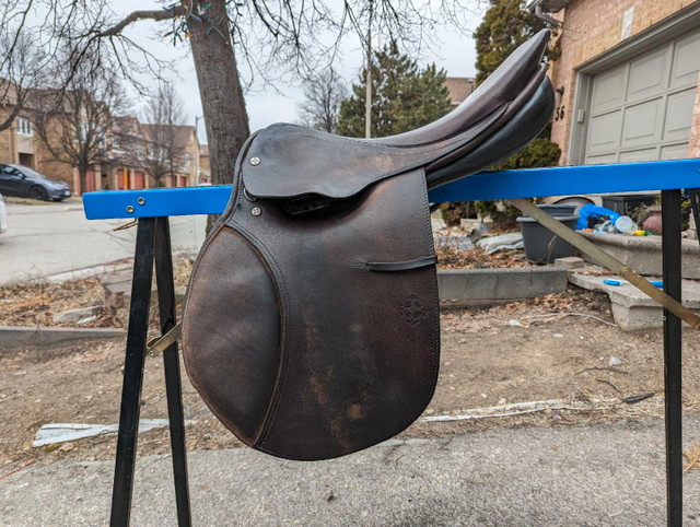 Used 16.5" Courbette saddle in Equestrian & Livestock Accessories in Mississauga / Peel Region