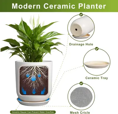 Modern White Ceramic Plant Pot - 12 Inch Indoor/Outdoor Planter, View more