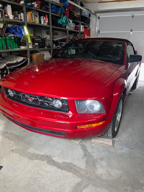 2009 Mustang Convertible V-6 style & thrifty. Excellent in Cars & Trucks in Calgary - Image 3