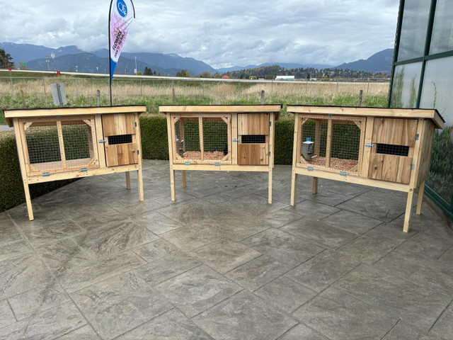 Bunny cages with bunny! in Small Animals for Rehoming in Chilliwack - Image 2