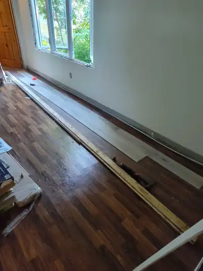 Painter, crack filler, and small reno guy., View more