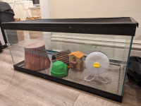 40 gallon tank and mouse or hamster accessories