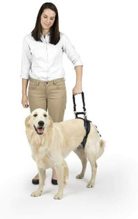 petsafe rear support dog harness