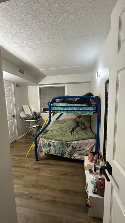Room available for 1 girl in sharing from this September in an apartment. Contact 6472003179 for fur...