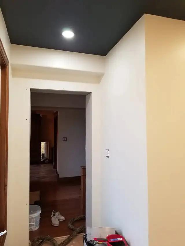 Professional Painter63735895291139121