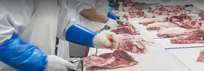 OFFRE D’EMPLOI – EMBALLAGE DE VIANDE PORCINE Tu es à la recherche d’un emploi stable et à temps plei...