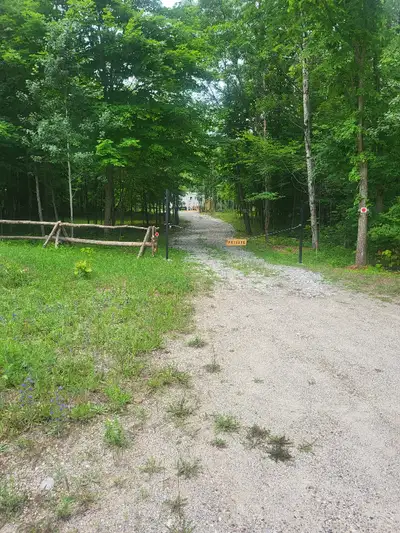 2.4 Acres of Untouched Land - Steps from Mississippi Lake! Escape to your own private oasis with thi...