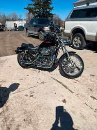 2001 Harley Davidson 1200 sportster