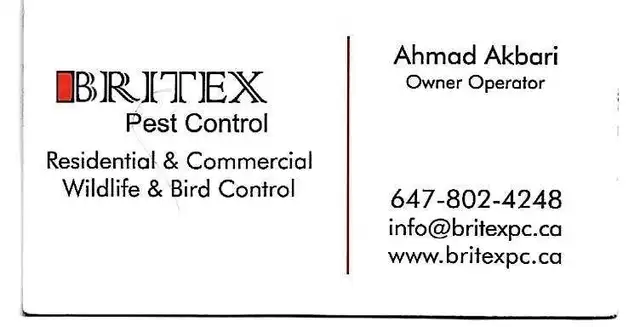 Britex Pest Control63013091694979124