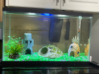 10 Gal LED Complete Fish Tank Setup