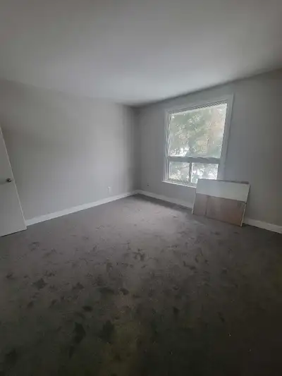 Looking to rent a room, I am moving to a new place and it has a bunch of room. Im looking to rent to...