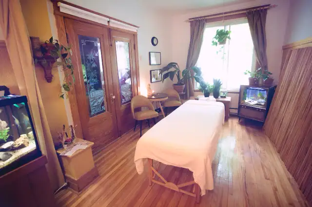 Massothérapie, prix spécial à 60$ pour 1h à Montréal in Massage Services in City of Montréal - Image 2
