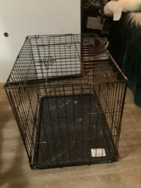 Wire dog kennel