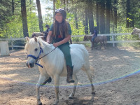 Children’s Riding Ponies, Camp,  Lessons and Trail Ponies 