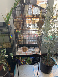 FOR SALE : New, beautiful black, Bird cage Cage on Stand.